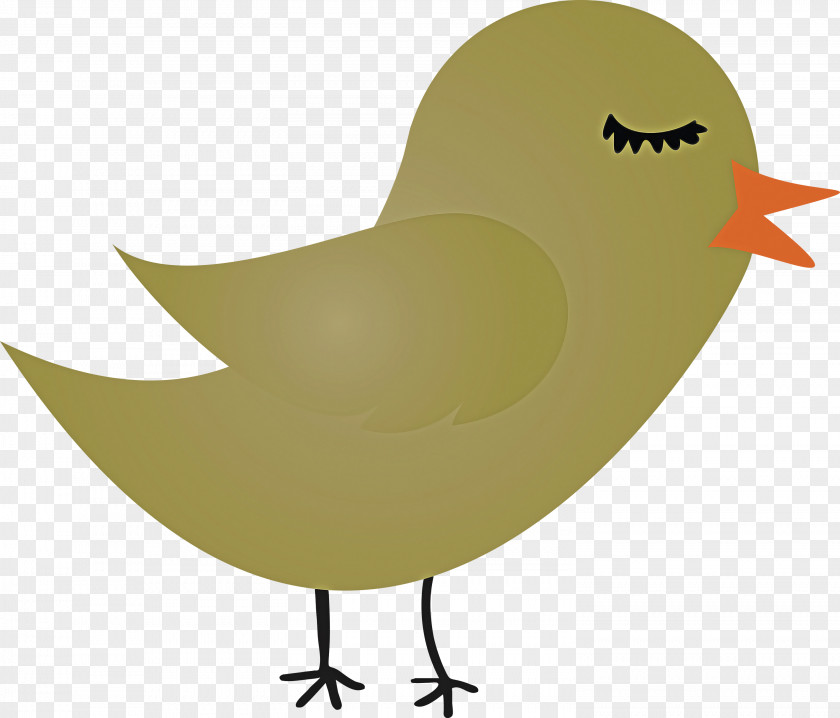 Bird Chicken Yellow Cartoon Beak PNG