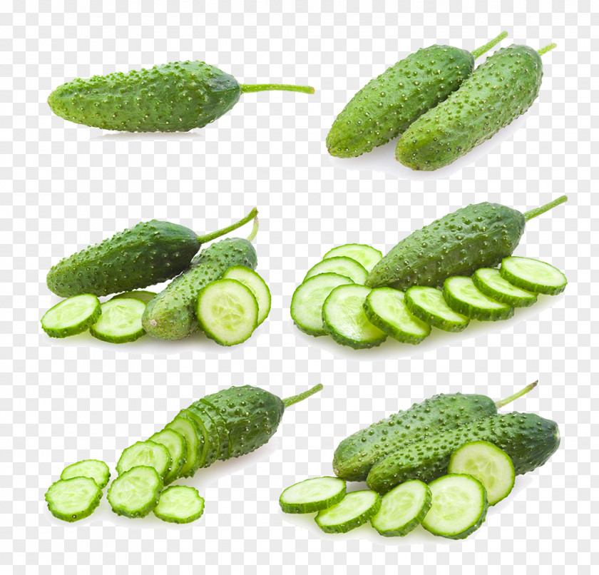 Cucumber Sushi Spreewald Gherkins Slicing Pickled Vegetable PNG