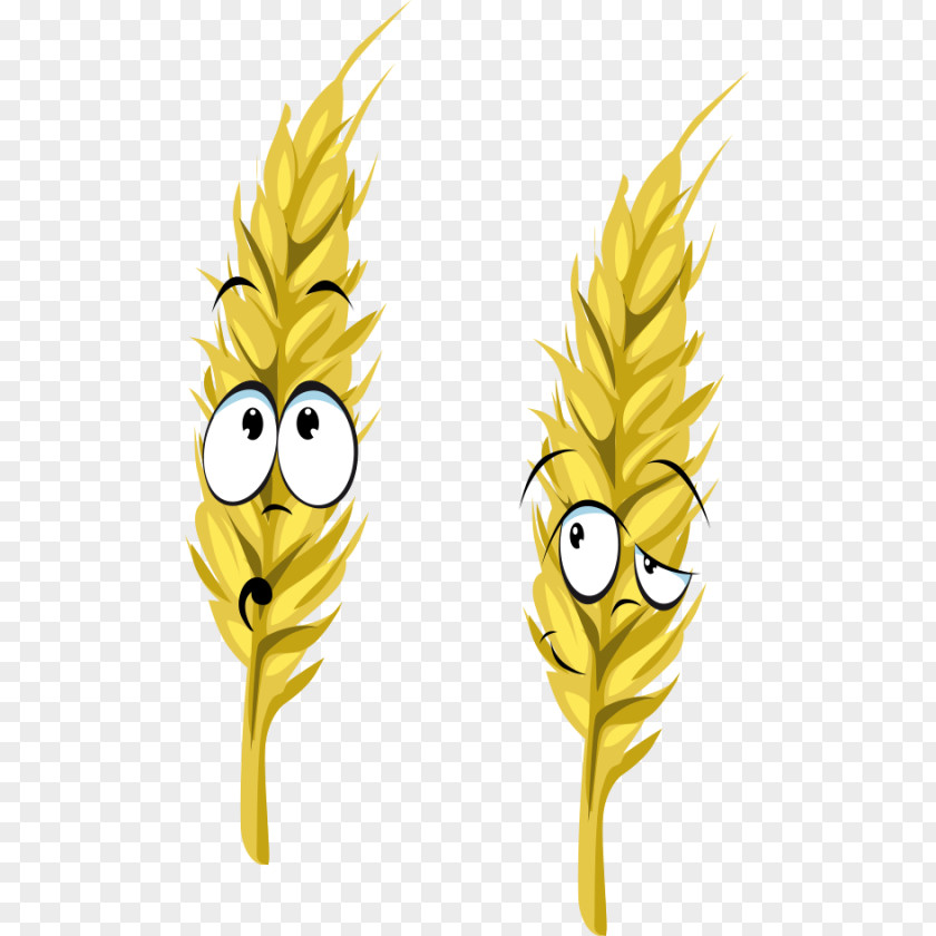 Funny Wheat Common Ear Drawing PNG