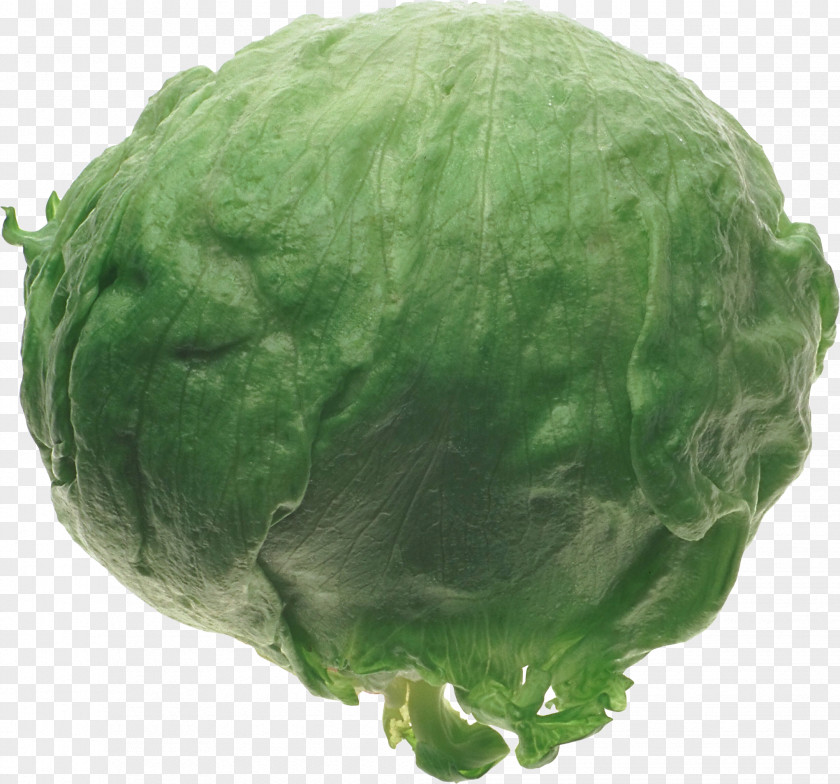 Green Mycoplasma Cabbage Collard Greens Food PNG