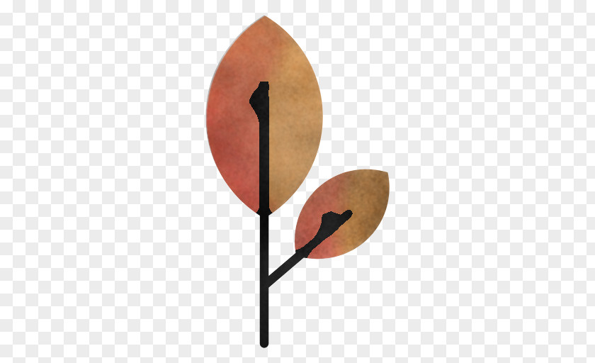 Leaf Biology Science Plant Structure PNG