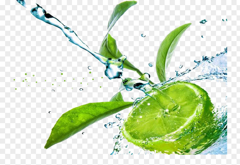 Lemon Juice Limeade Water PNG