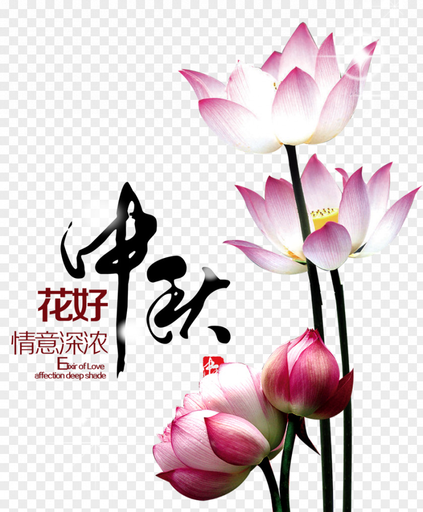 Mid Autumn Festival Mooncake Mid-Autumn Poster Image PNG