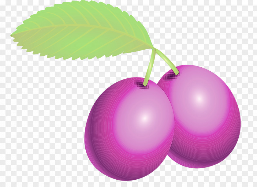 Violet Purple Leaf Plant Fruit PNG