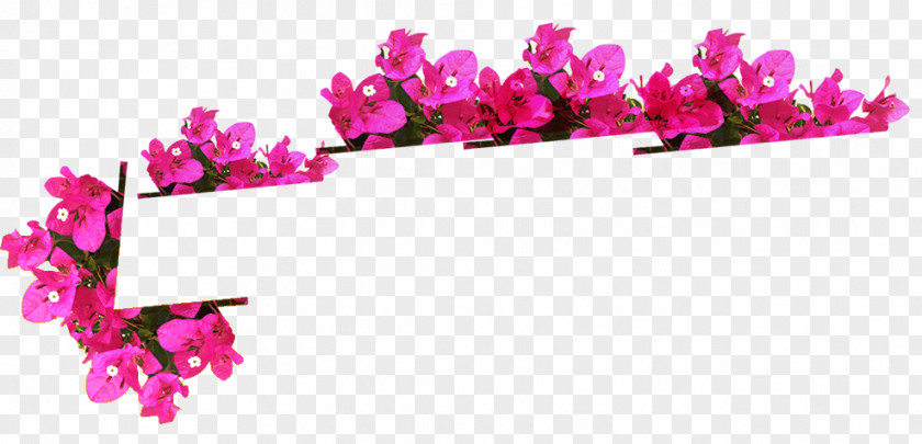 Flower Floral Design Cut Flowers Petal PNG