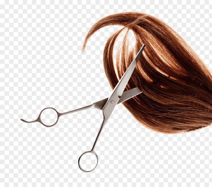 Hairdressing Hairstyle Hairdresser Pixie Cut Beauty Parlour PNG