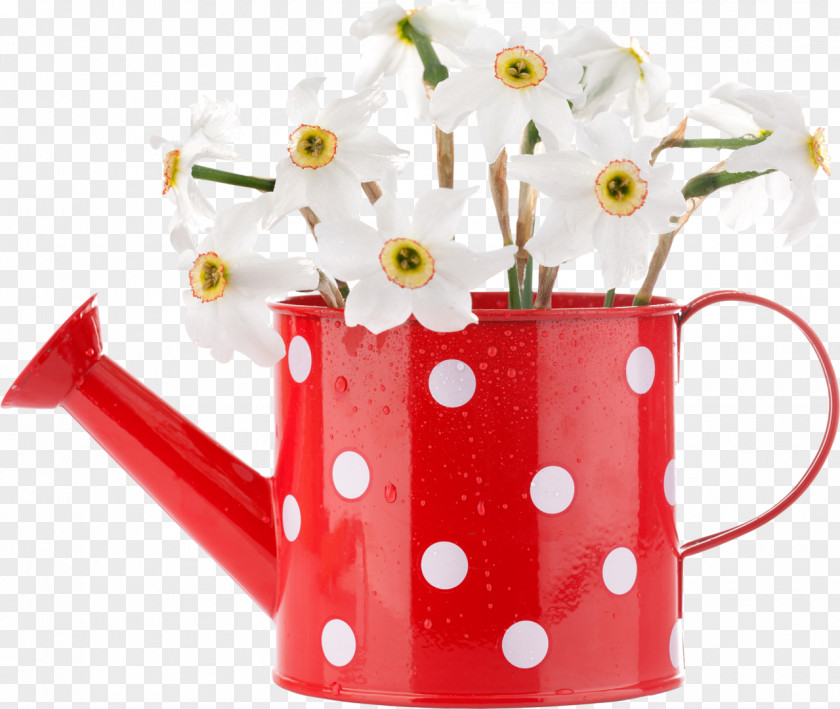 Pea Vase Watering Cans Flowerpot Daffodil PNG