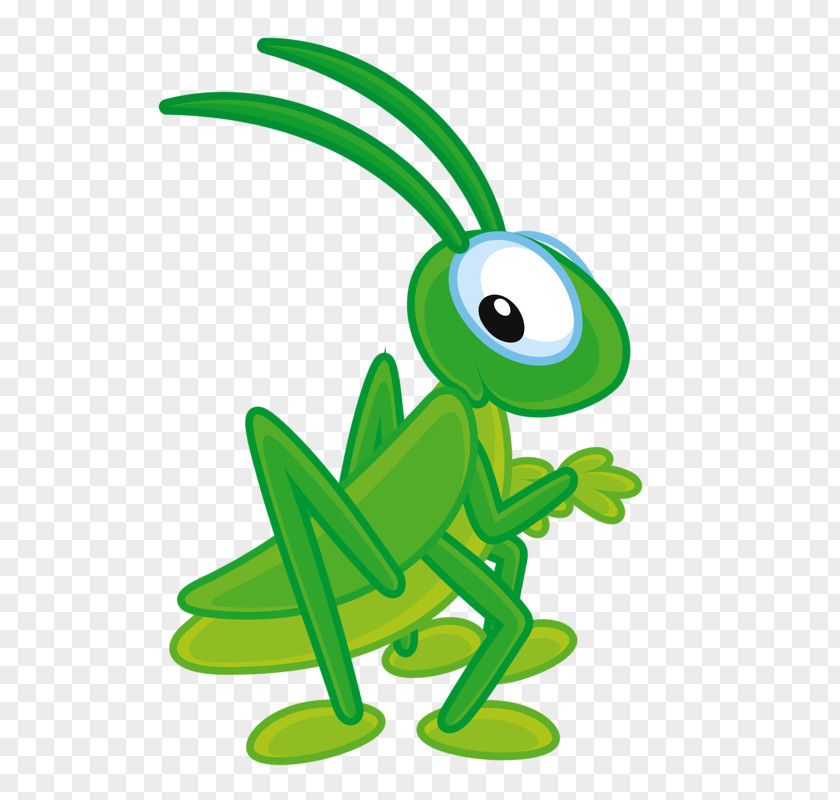 Small Grasshopper Insect Cricket Clip Art PNG