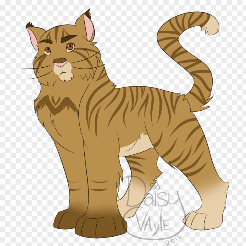Tiger Whiskers Lion Wildcat PNG