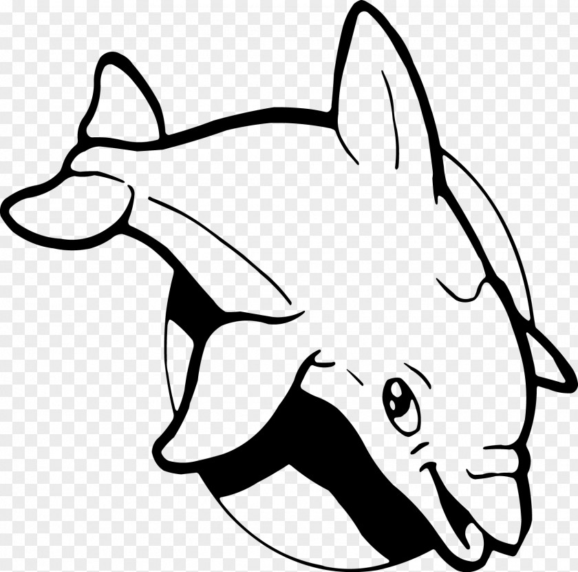 Vector Dolphins Bottlenose Dolphin Whale Clip Art PNG