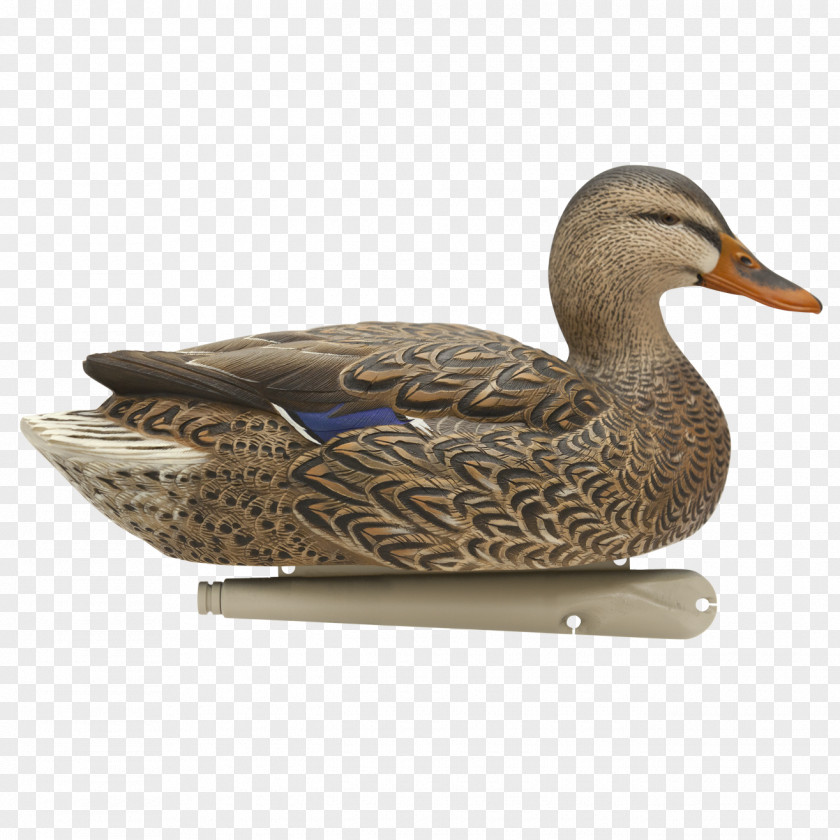 Duck Mallard Decoy Goose PNG