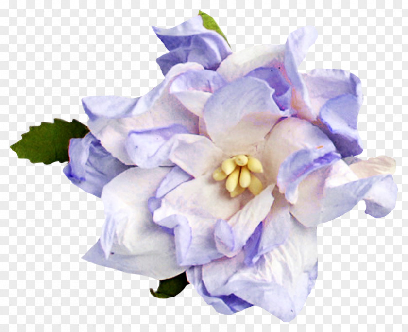 Flower Blue Floral Design Color Image PNG
