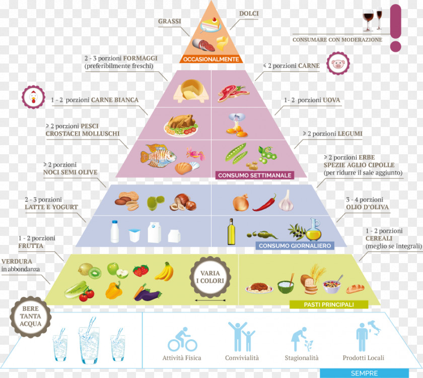 Food Pyramid Eating Dietary Supplement PNG