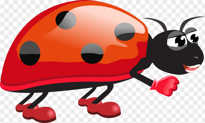 Ladybird Beetle Drawing PNG