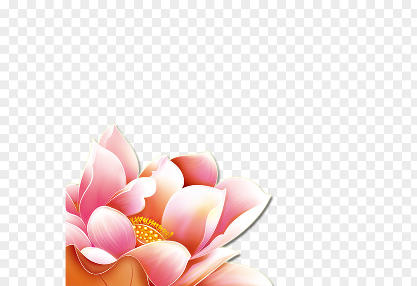 Lotus Flower Desktop Wallpaper PNG