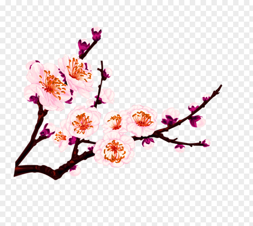 Peach Blossom Flower Cdr Adobe Illustrator PNG