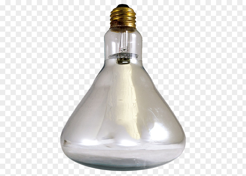Pet Heat Lamps Product Design Light Fixture Ceiling PNG