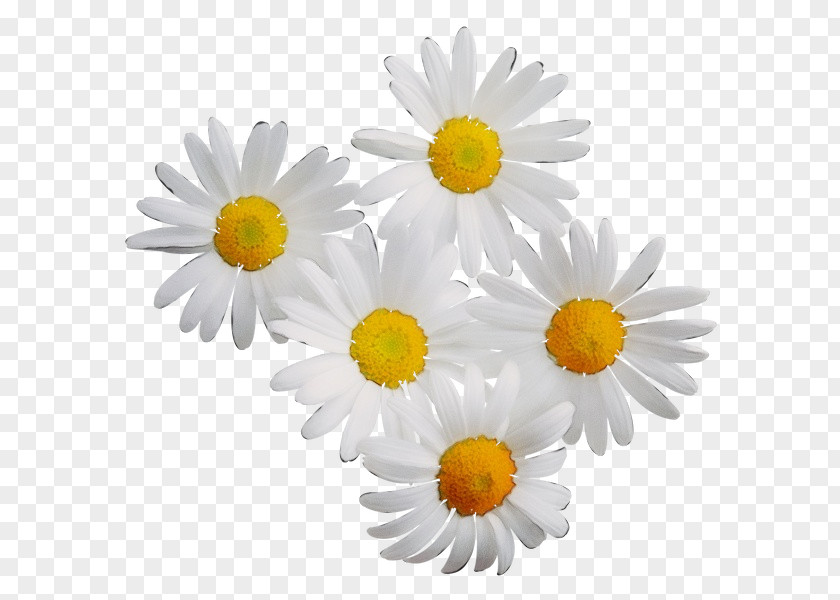 Artificial Flower PNG