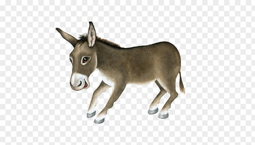 Cartoon Little Donkey Dominick The Christmas Card Stock Illustration PNG