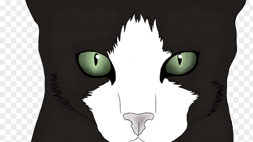 Cat Whiskers T-shirt Snout PNG