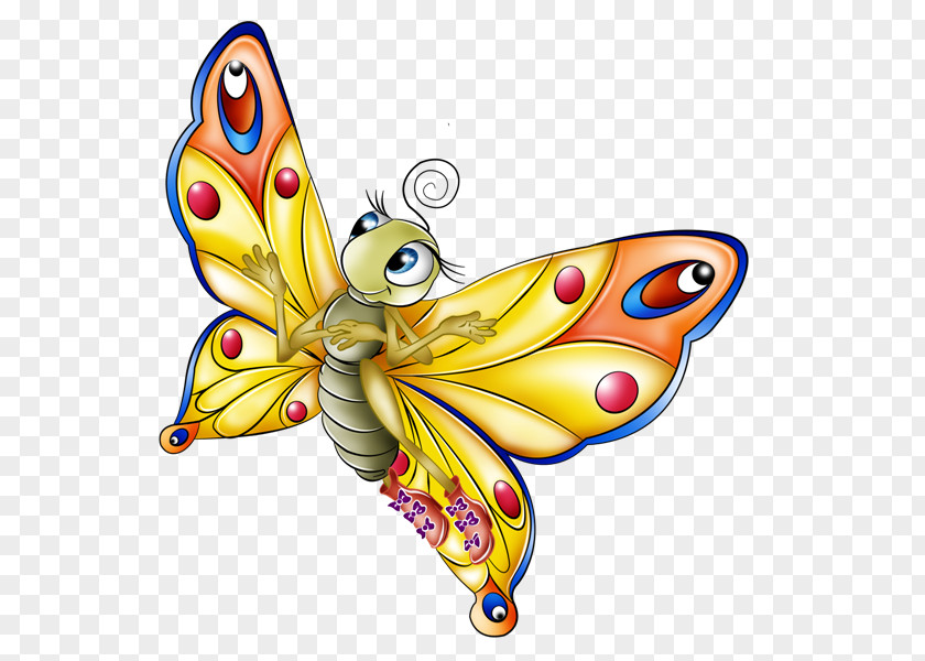 Ido Butterfly Clip Art Openclipart Illustration Image PNG