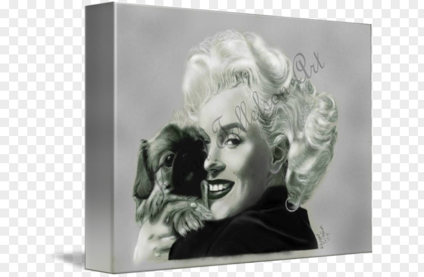 Marilyn Monroe Stock Photography Picture Frames PNG