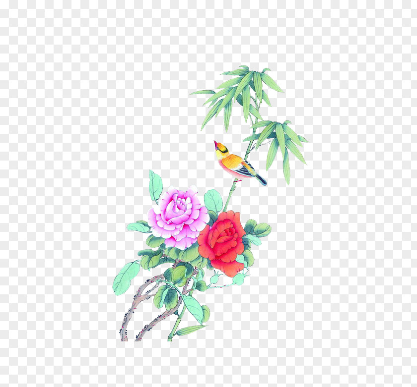 Bamboo Peony Bird Painting Photography PNG