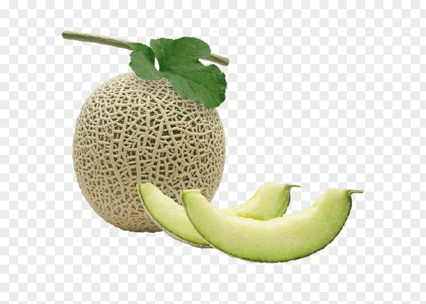 Cantaloupe Honeydew Galia Melon メロン・リキュール Laos PNG