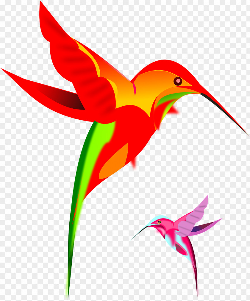Fly Hummingbird Clip Art PNG