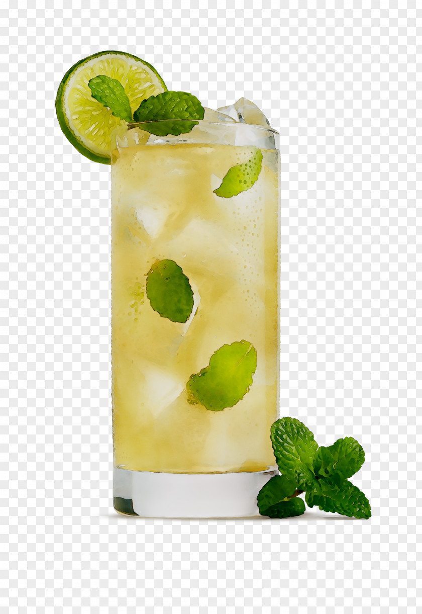 Mojito Caipirinha Limeade Cocktail Garnish PNG