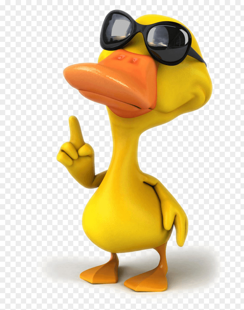 Pato Real Duck Vector Graphics Stock Photography Royalty-free Illustration PNG