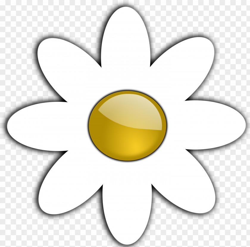 Picture Of Daisies Common Daisy Coloring Book Flower Black And White Clip Art PNG