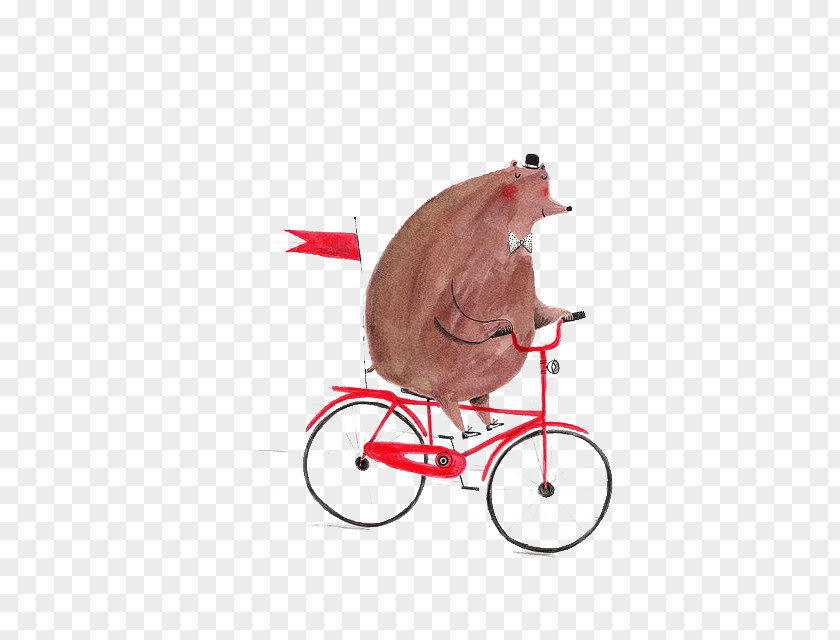Pig Bicycle Bear Drawing Illustration PNG