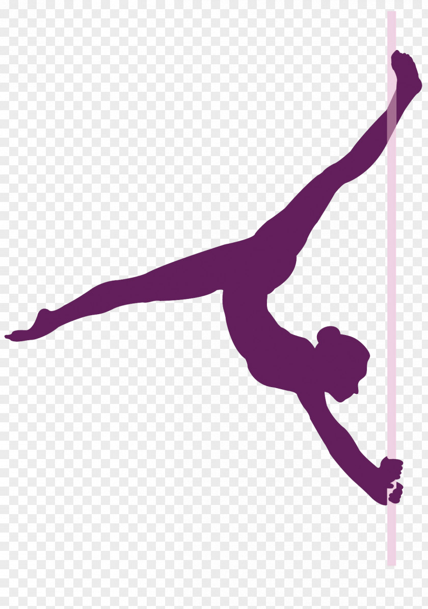 Pole Dance Acrobatics Studio Pylon PNG