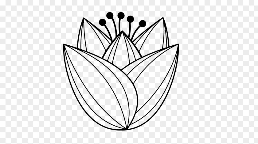 Tulip Coloring Book Flower Child PNG