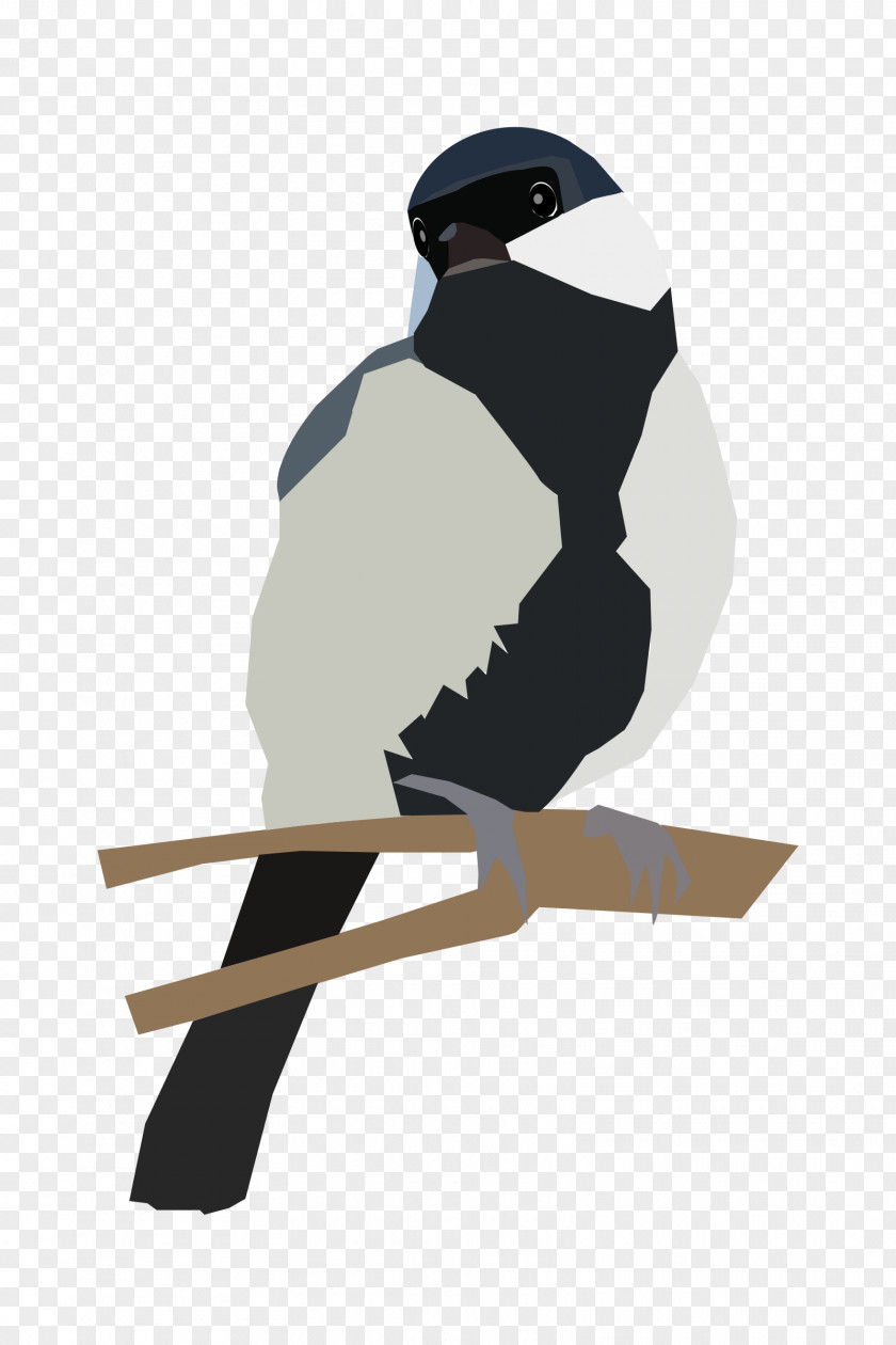 TWIG Bird Twig Clip Art PNG