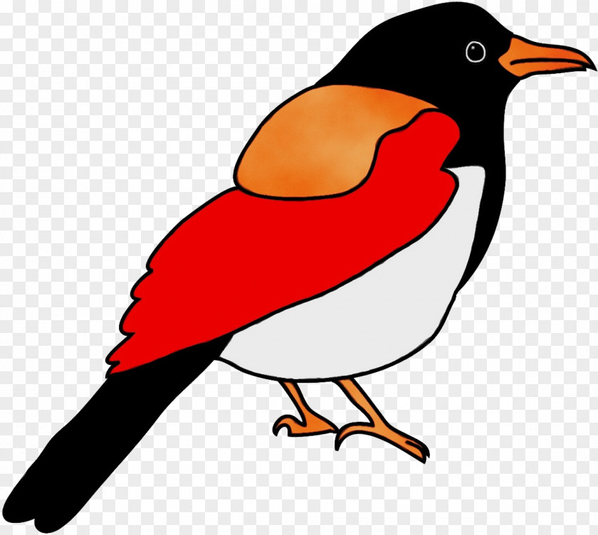 Beak PNG