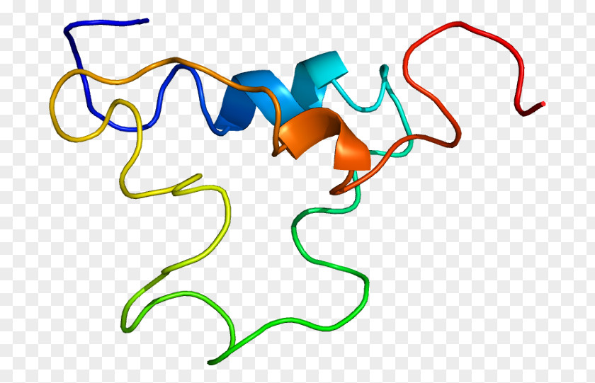 Dna Structure Human Insulin-like Growth Factor 1 Hormone Somatomedin PNG
