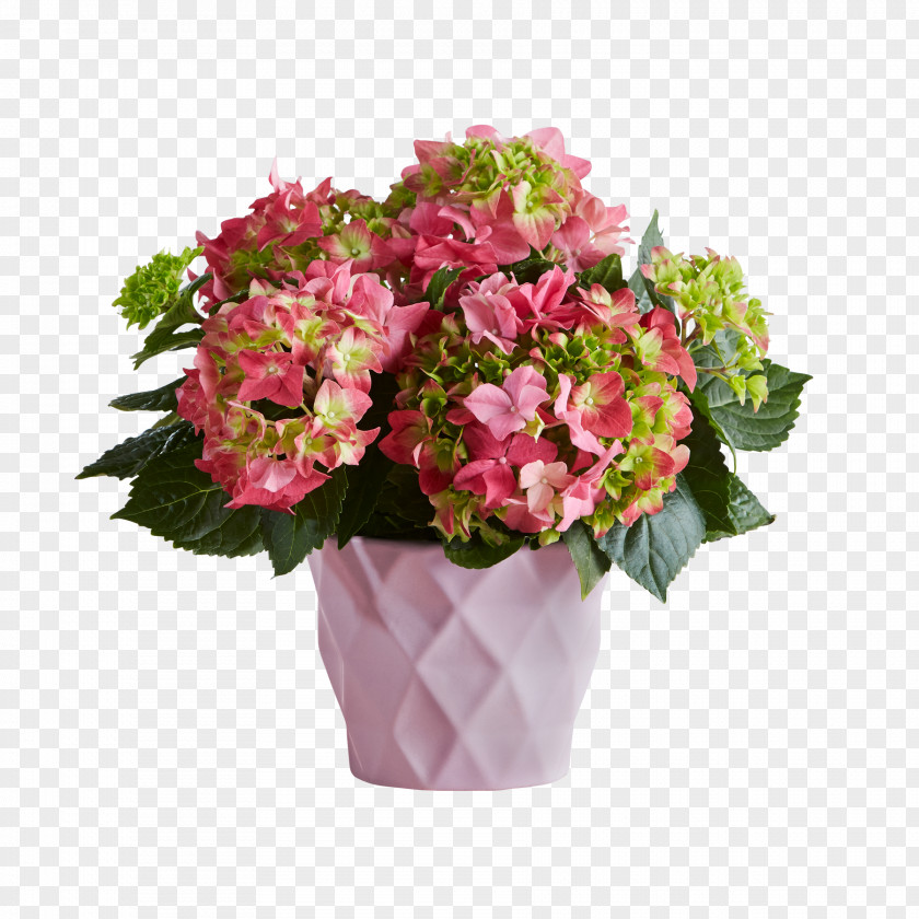 Flower Delivery Floristry Teleflora Gift PNG