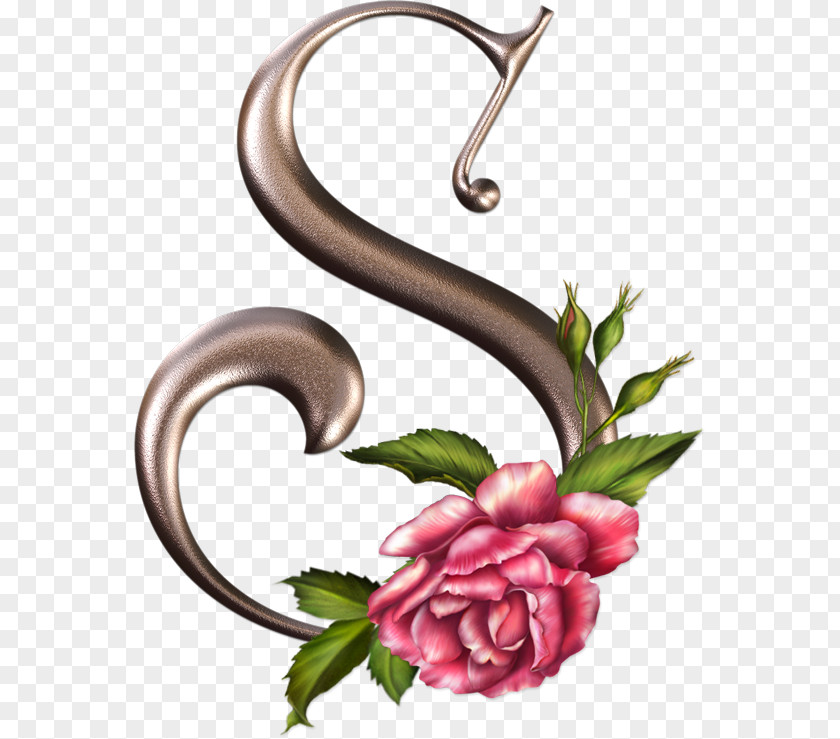 Flower Floral Design Alphabet Letter Rose PNG