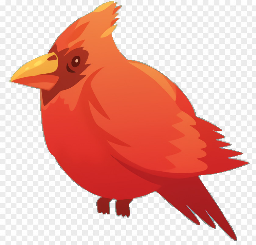 Perching Bird Songbird Cardinal PNG