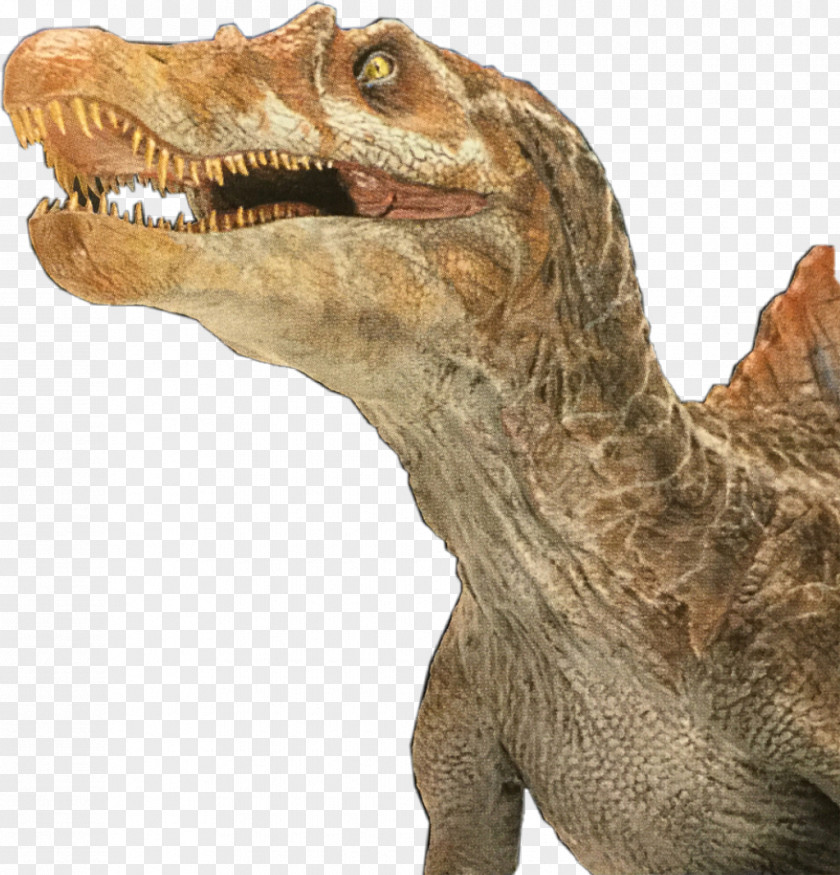 Troodon Figurine Velociraptor Background PNG