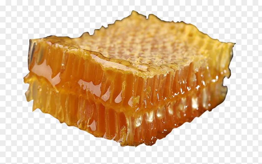 A Honey Treacle Tart Honeycomb PNG