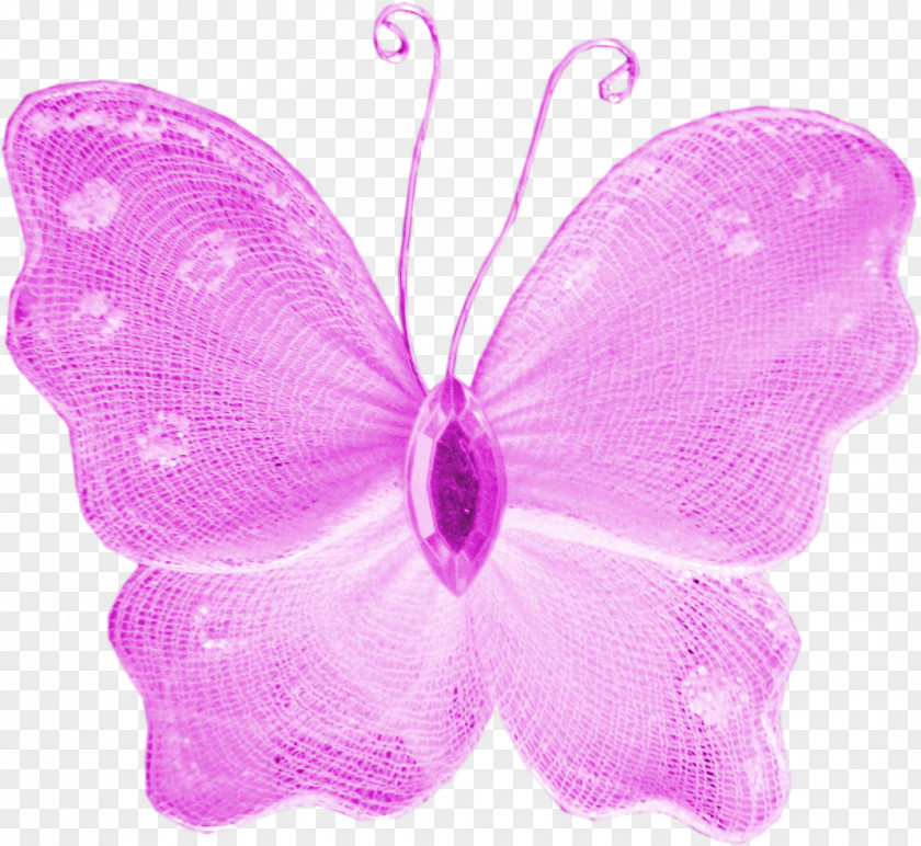 Butterfly Insect Lavender Lilac Violet PNG