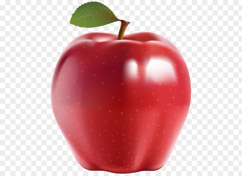 Dogberries Apple Image Clip Art PNG