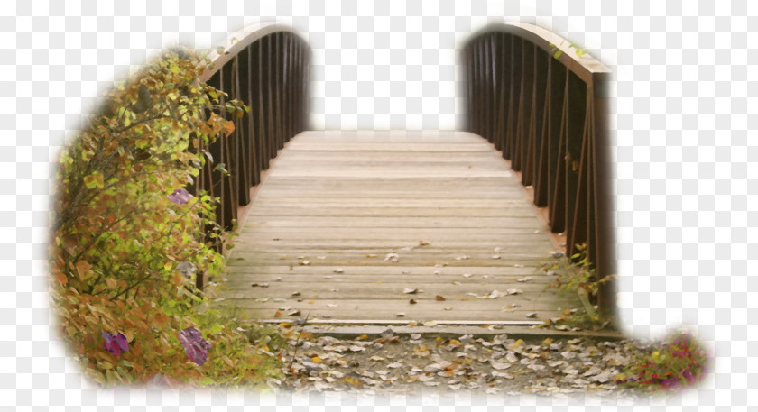Stairs Bridge Feminist Strike Of 8 March 2018 Earth 0 PNG