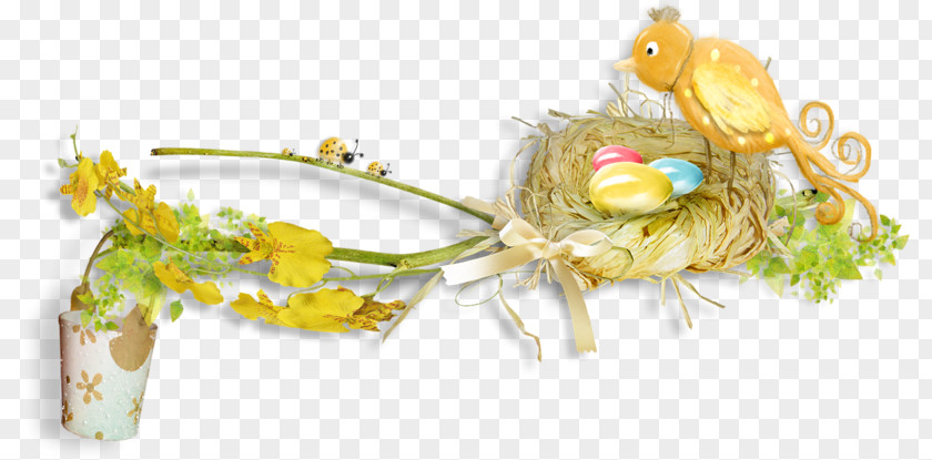 Bird Nest Edible Birds Clutch PNG