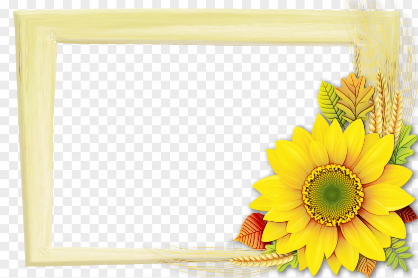 Daisy Family Picture Frame Background Flowers PNG