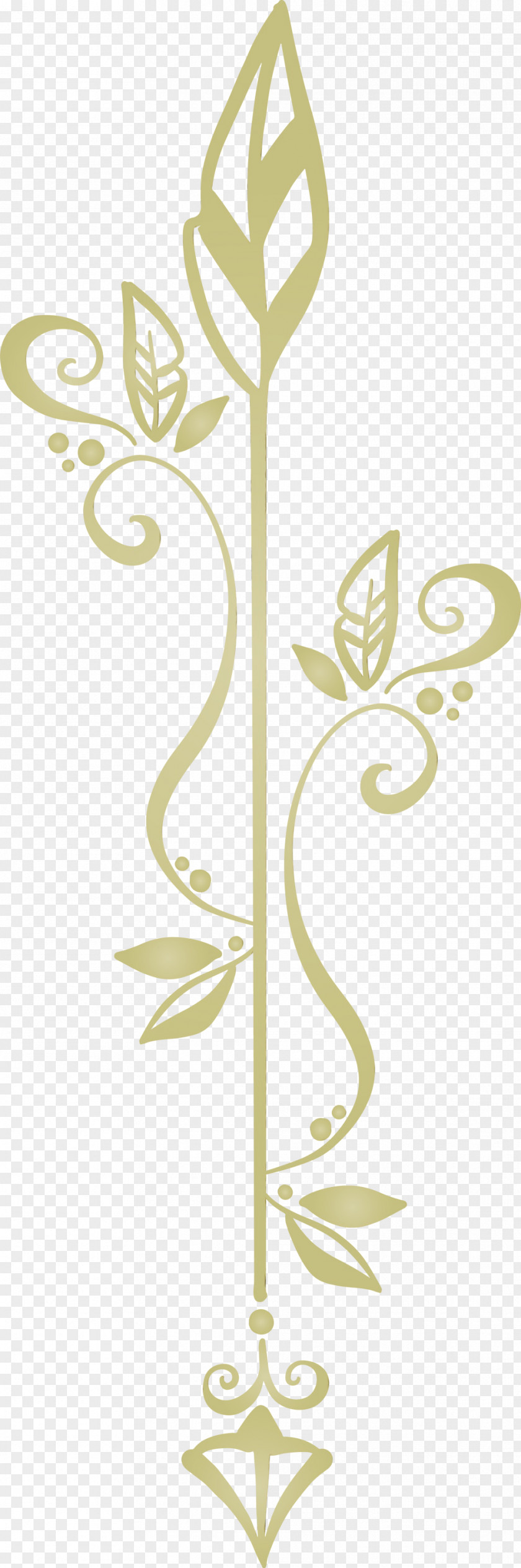 Floral Design PNG