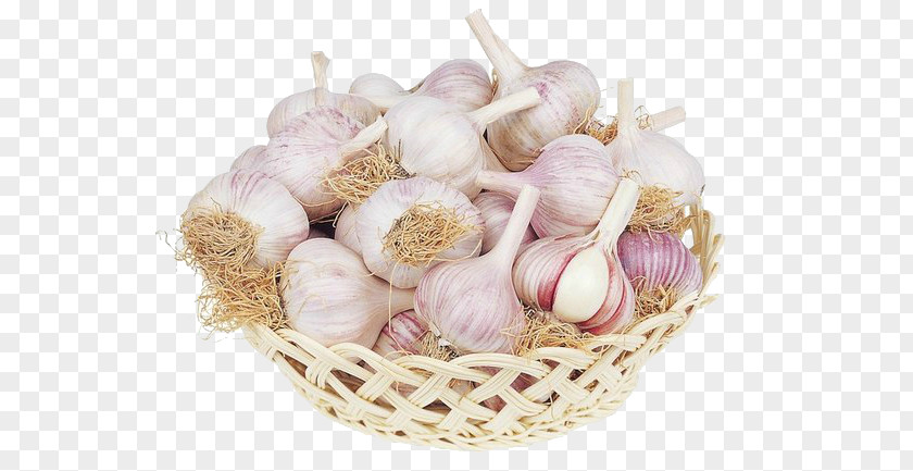 Garlic Bronchitis Pneumonia FAQs All About Disease PNG